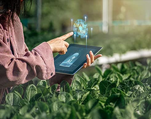 IoT Smart Sensors for Sustainable Operations: